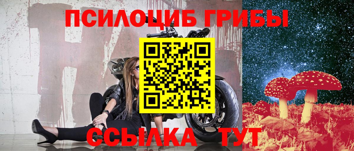 Унеча  Галлюциногенные грибы Psilocybe  Вход с VPN  Галлюциногенные грибы GOLDEN TEACHER 